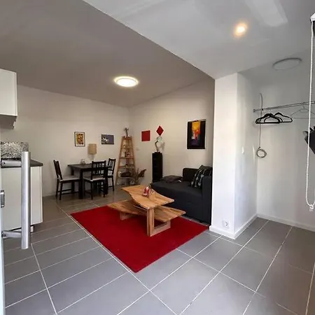 Apartment In Innenstadtlage Saarbrücken Exterior foto